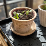 Product Showcase Image - Tica Copenhagen